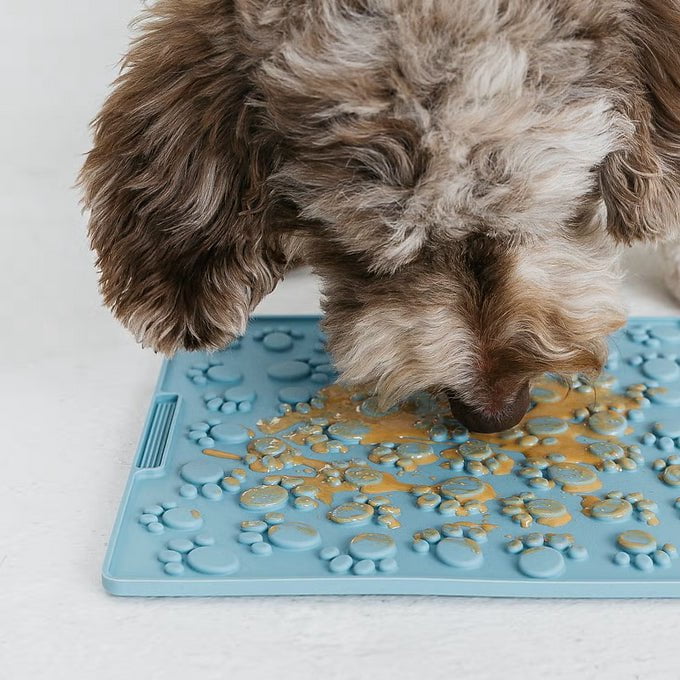Grand tapis de léchage d'enrichissement - Maître Animalier