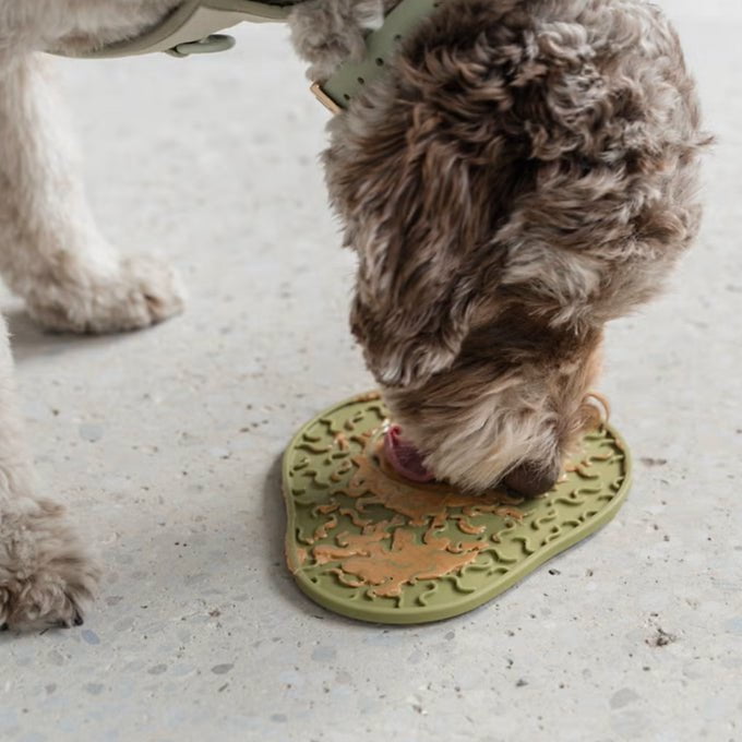 Tapis à lécher enrichissant - Avocat - Maître Animalier