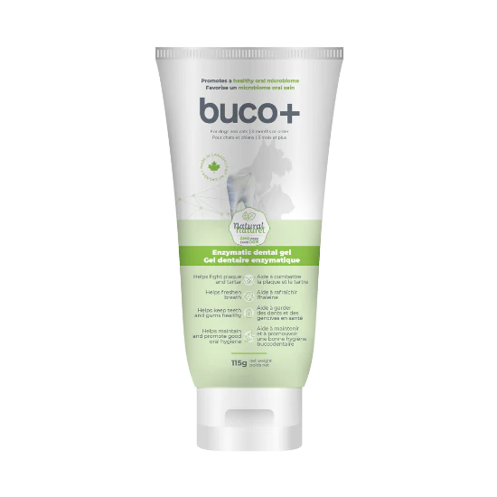 Gel dentaire buco +