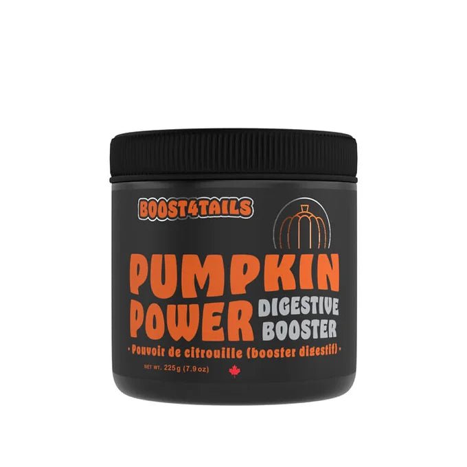 Booster digestif Citrouille en poudre - Maître Animalier