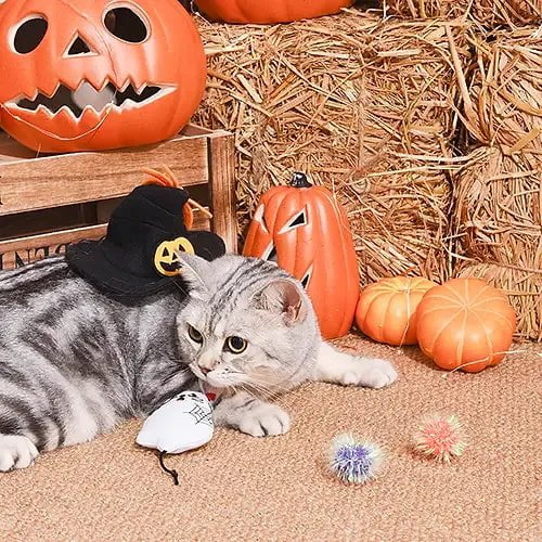 Chat Fantôme - Jouet pour chats - Maître Animalier