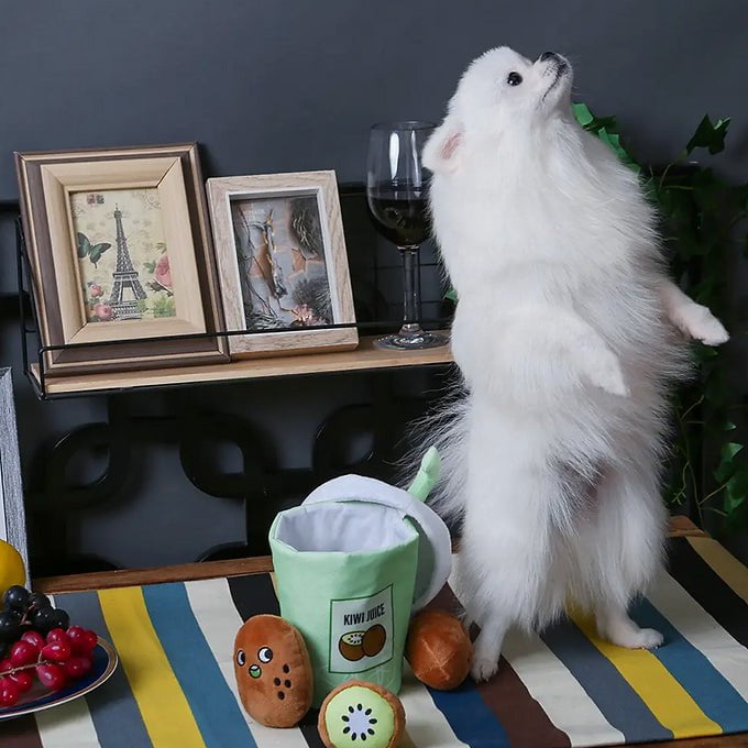Jouet - Jus de kiwi - Maître Animalier