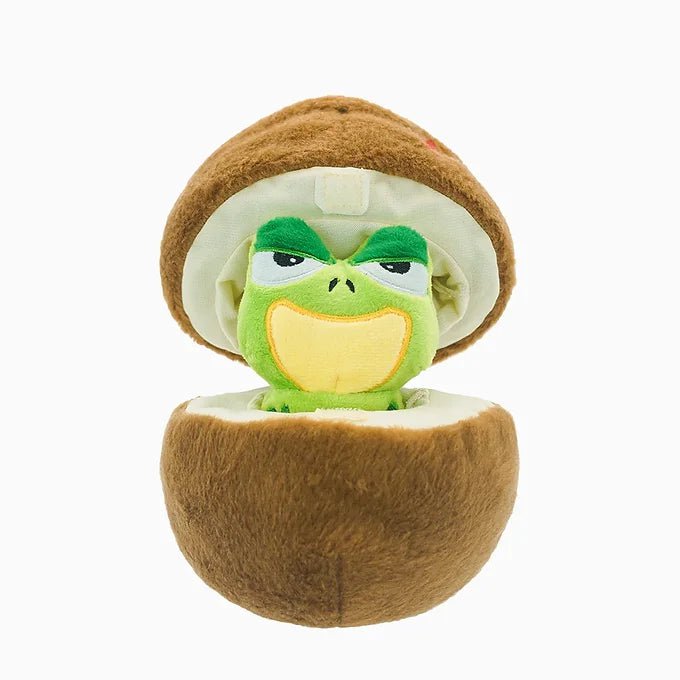 Jouet - Noix de coco - Maître Animalier