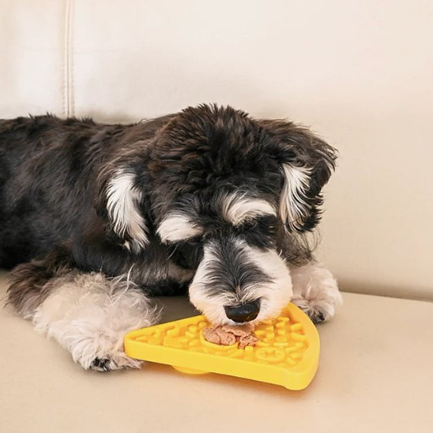 Tapis de lèchage - Pizza - Maître Animalier