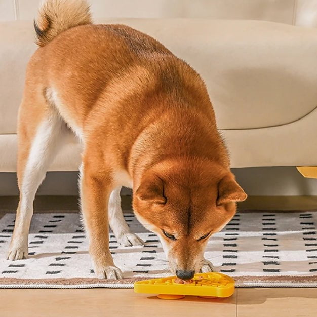 Tapis de lèchage - Pizza - Maître Animalier