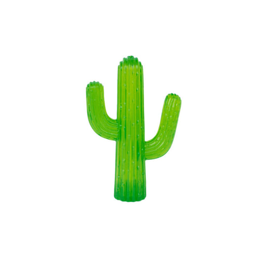 Jouet pour chien cactus résistant
