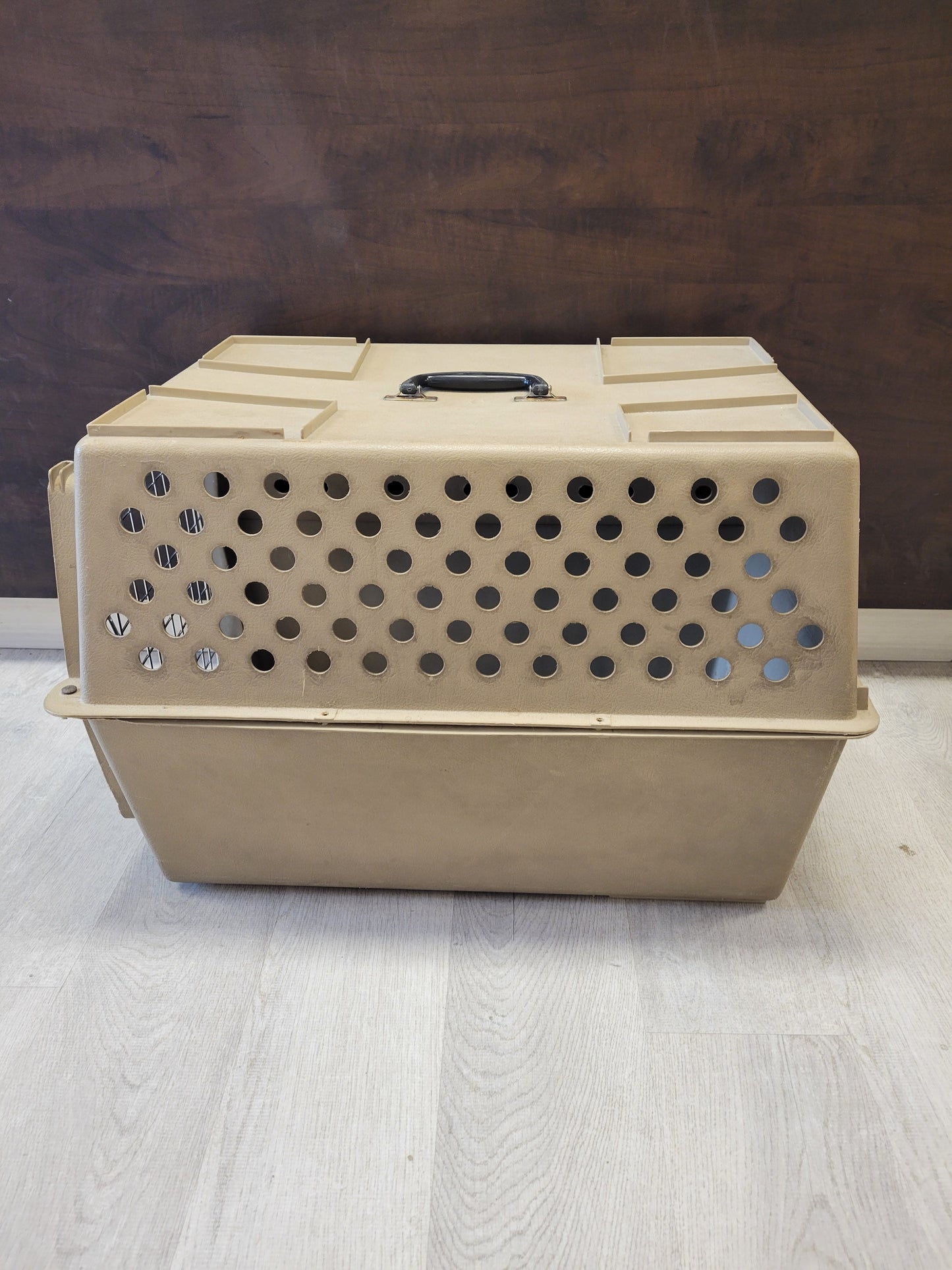 Cage GÉANTE
