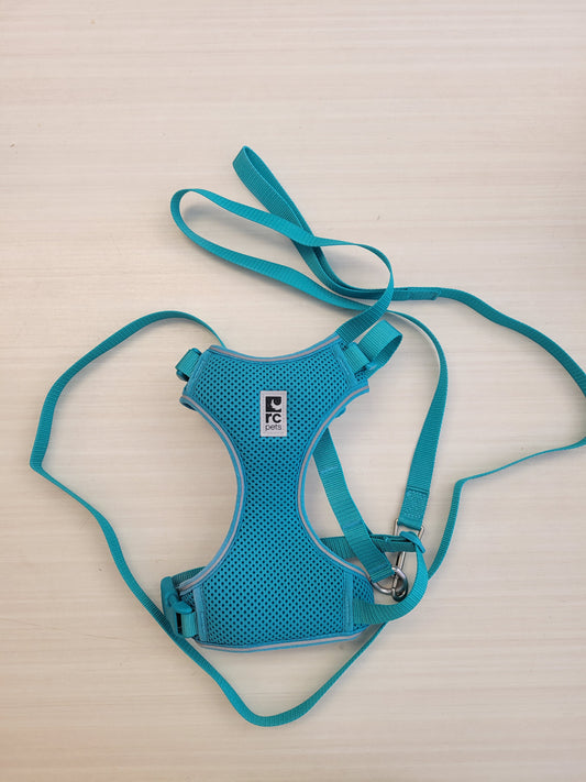Kit harnais et laisse bleu