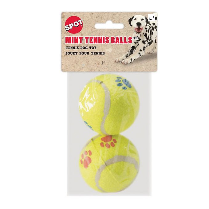 2 Balles de tennis - Maître Animalier