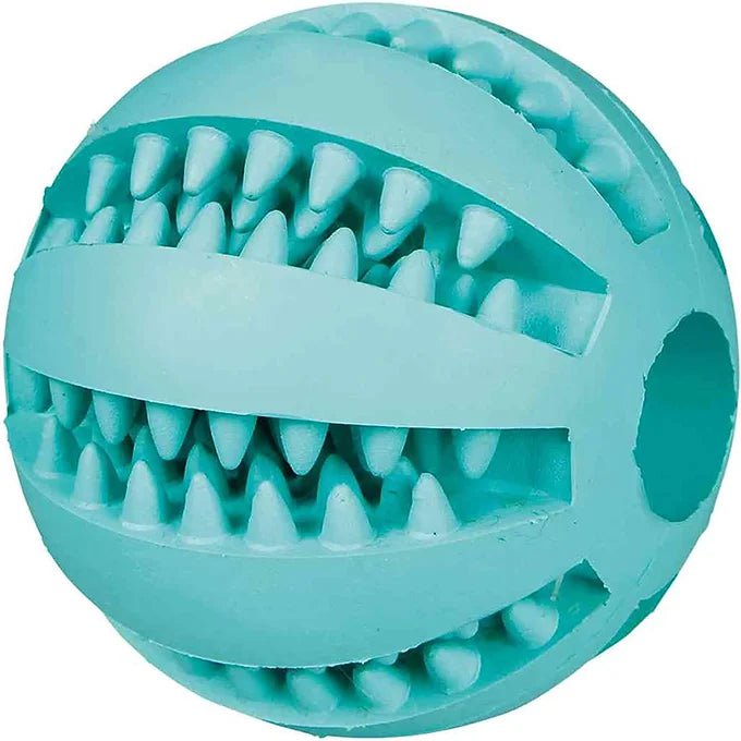 Balle – Denta Fun - Maître Animalier