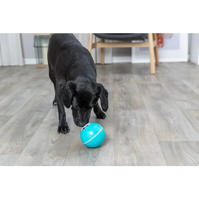 Balle interactive, distributrice à gâterie - Maître Animalier