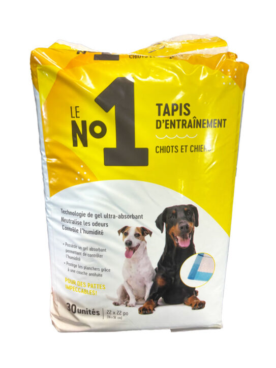 Le No.1 Tapis d’entraînement régulier 22 x 22″ 30pc