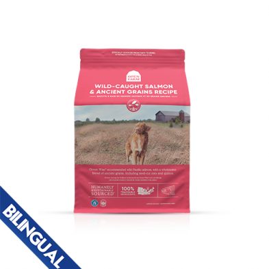 Open Farm® Recette à Base de saumon sauvage et de grains anciens pour chiens