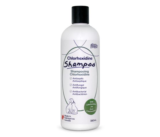 Envirofresh Shampoing Pour Chien, Anti-démangeaisons Avec Chlorhexidine 380ml