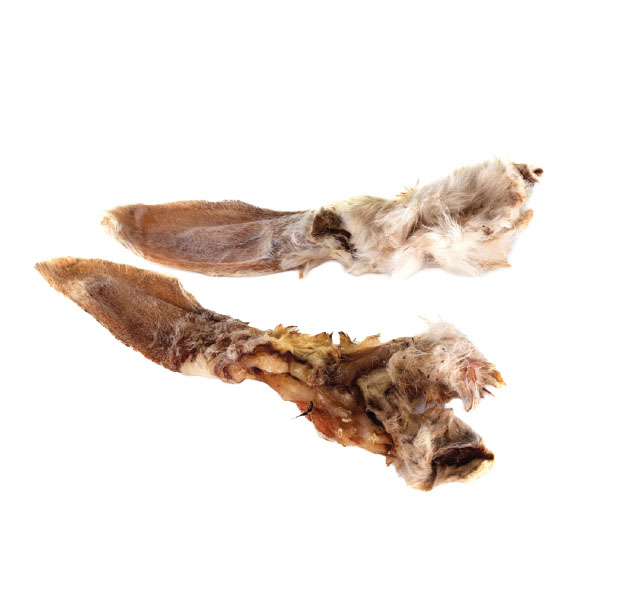 Oreilles de lapin avec poils
