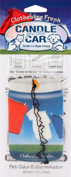 Désodorisant pour voiture Clothesline Fresh