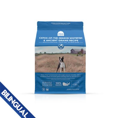 Open Farm® Recette de poisson blanc « prise du jour » aux grains anciens pour chiens