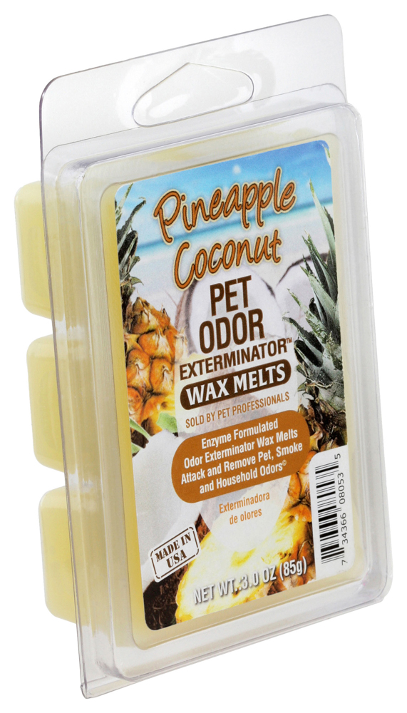 Fondant enzymatique Ananas & noix de coco